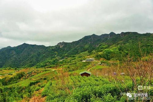 温州这个360度的观景平台和茶园露营基地,休闲好去处