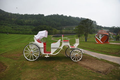 雁荡山下又一网红打卡点 铁定溜溜,溜无限 很有趣