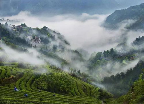 温州佛教传奇故事 藏在永嘉东嶂村的道济 济公 禅寺