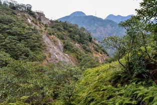 乐清 雁荡山 响岭头
