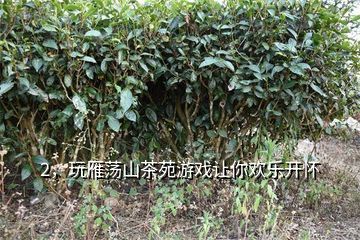 天方茶苑,微信红包充游戏茶苑银子