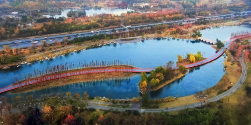 天府绿道已长达2607公里 今年还要开工建设这么多