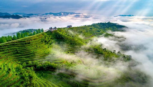 贵州省黔南州2021年3月最新拟在建工程项目汇总