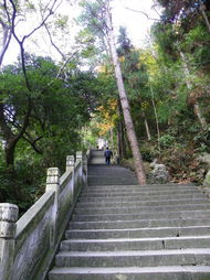 2009 12 17 19 群英聚会白鹿城 雁荡笑迎八方客