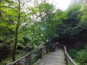 雁荡山三日休闲游