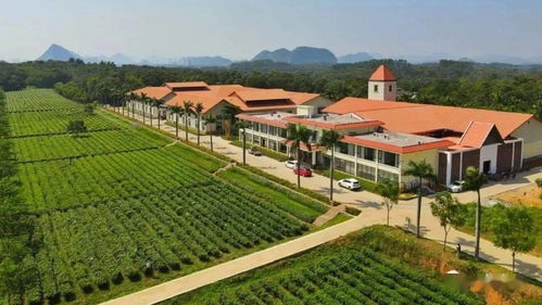 英德8个地方获评清远农业公园