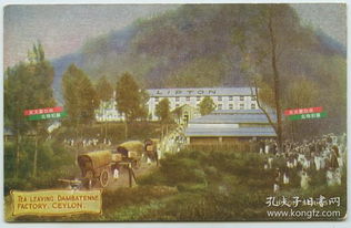 民国 封片简 邮票税票