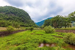 钟祥黄仙洞里的这条天梯陡立90度,让人又爱又怕