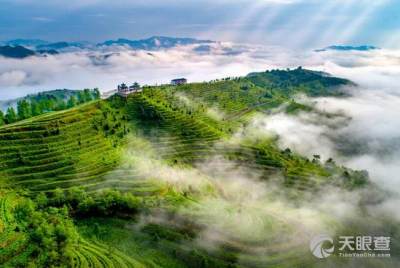 贵州独山石牛食品有限责任公司