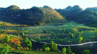 游英德山水 品茶享人生 英德特色精品茶旅线路新鲜出炉