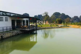 t三有机茶园茶文化 旅游解密