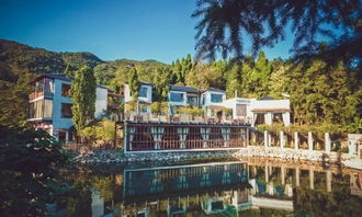 100家 中国超美的民宿院子