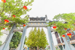 从雁荡山到楠溪江,我在温州寻找关于诗的故事