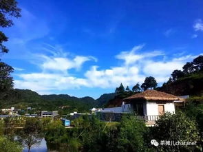 春季茶园美如画,好山好水出好茶