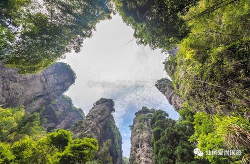 横店神秘之旅 6月29日雁荡山茶苑等你探索