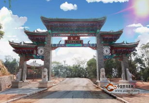 魅力茶山——探秘易武国有林 刮风寨、白茶园与雁荡山茶苑的茶王树传奇