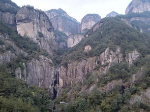 大隐隐于世，小隐隐于山 浙江温州自驾出行季之雁荡山茶苑寻幽