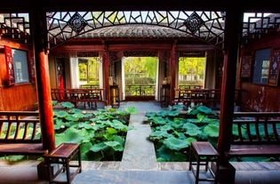 种草必读 | 华中地区超in网红酒店,有颜又有趣·雁荡山茶苑