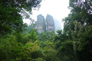 雁荡山一日游 奇峰秀水与茶苑清韵