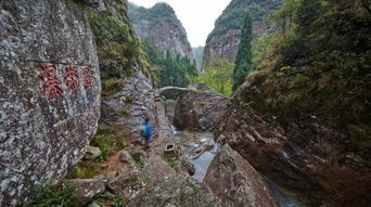 雁湖景区与雁荡山茶苑 门票价格与团购指南
