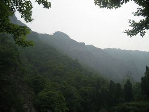 雁荡山游记 雁荡山茶苑