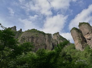 雁荡山茶苑 带着天天看世界,品味温州山水茶韵