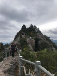 王十朋故里与中雁荡山游记 雁荡山茶苑的山水诗情