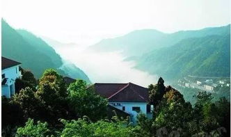 温州七大避暑胜地，边避暑边看奥运 雁荡山茶苑