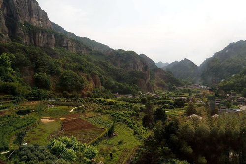 雁荡山游记 茶苑清香
