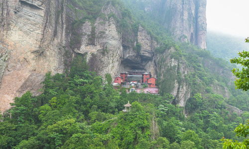 雁荡山茶苑 日夜变幻的山水诗画