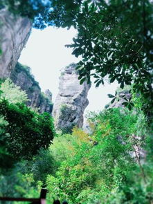 乐清清隐民宿 雁荡山茶苑中的诗意栖居