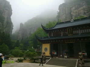 雁荡山茶苑 寻一缕茶香，品一方山水