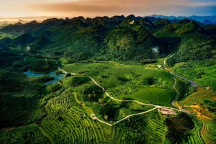 游英德山水 品茶享人生 雁荡山茶苑开启特色精品茶旅新体验