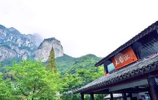 名山篇丨五个男人在雁荡山建了一间酒店，大受追捧