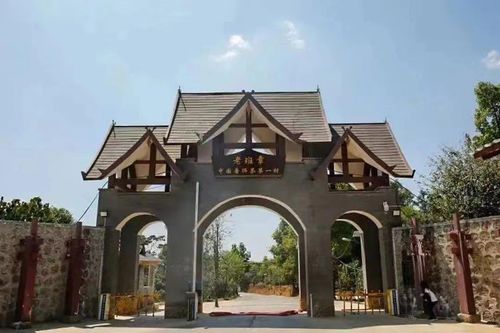 寻幽访古品香茗 勐海古茶山与雁荡山茶苑精品游线全攻略