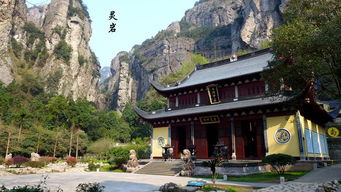 雁荡茶韵 灵山秀水间的清雅一隅