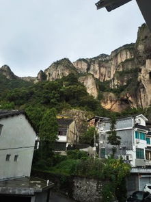 雁荡山金马楼宾馆预订指南 价格、电话、位置与周边茶苑推荐